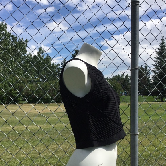 NWT Bebe Sheer Stripe Sweater Tank Black - Picture 6 of 10